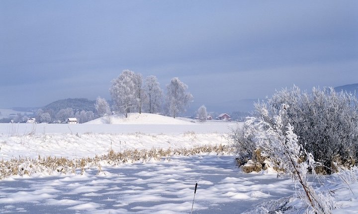 Gravhaugen Halvdanshaugen på Stein gård i Hole i Buskerud. Foto Arve Kjersheim_Riksantikvaren