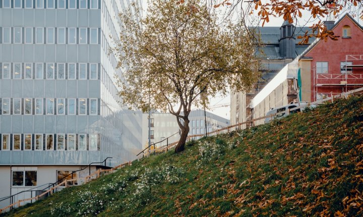 Blått kontorbygg, tre, rehab_Foto Ilja Hendel