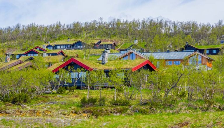 hyttefelt i Valdres. Foto Mostphotos