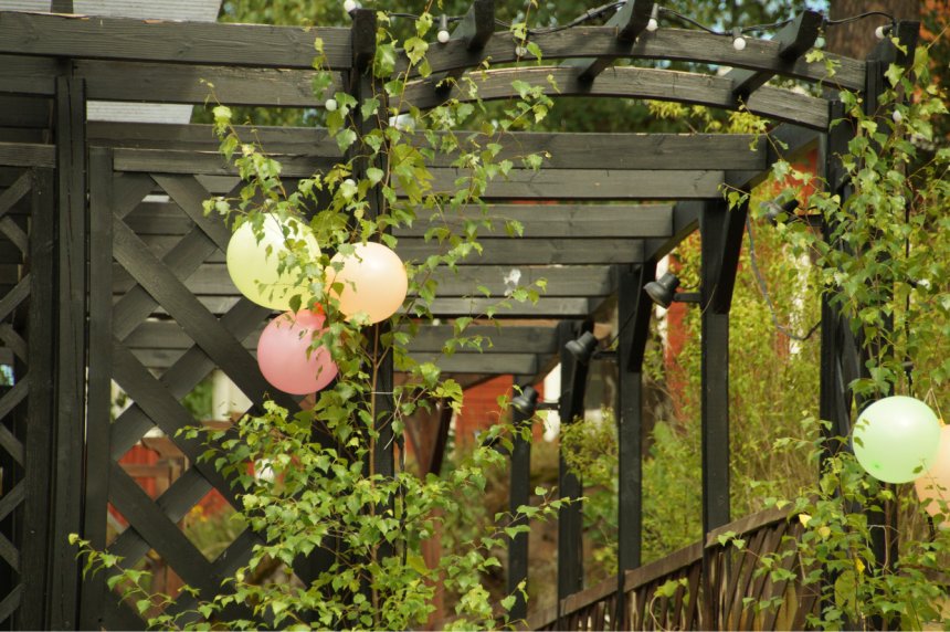 Pergola.jpg Pergola.jpg