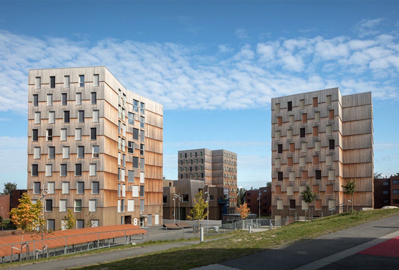 Studentbyen Moholt 50|50, Trondheim