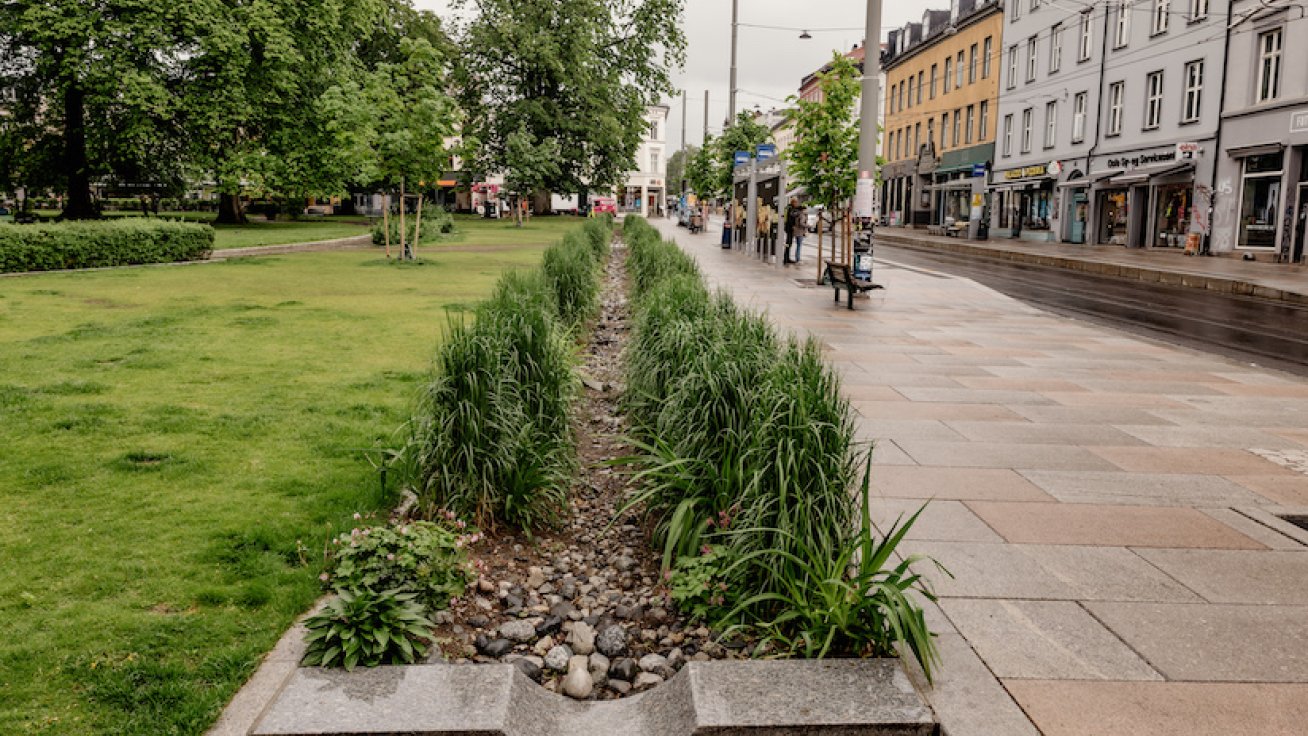 Thorvald Meyers gate i Oslo. Foto Ilja Hendel