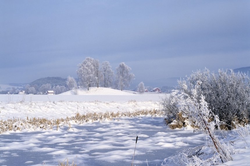 Gravhaugen Halvdanshaugen på Stein gård i Hole i Buskerud. Foto Arve Kjersheim_Riksantikvaren